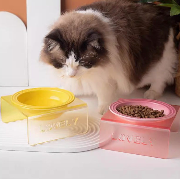 法国同款猫碗陶瓷盘渐变餐前盘炫彩盘子餐前牛奶碟子宠物碗
